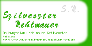 szilveszter mehlmauer business card